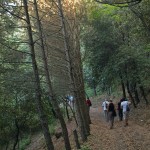 Sentiero Lungo i Congoli, Parco del Vesuvio, Ottaviano (ph Gianfranco Adduci)