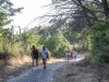 Visita guidata all'Antica Strada MatronaPomigliano Jazz XXIX EdizioneParco Nazionale del Vesuvio