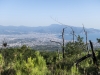 Visita guidata all'Antica Strada MatronaPomigliano Jazz XXIX EdizioneParco Nazionale del Vesuvio