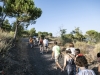 Visita guidata all'Antica Strada MatronaPomigliano Jazz XXIX EdizioneParco Nazionale del Vesuvio