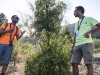 Visita guidata all'Antica Strada MatronaPomigliano Jazz XXIX EdizioneParco Nazionale del Vesuvio