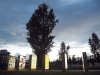 Parco delle Acque
Pomigliano Jazz Festival 2016 - XXI Edizione
Pomigliano D'Arco