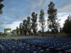 Parco delle Acque
Pomigliano Jazz Festival 2016 - XXI Edizione
Pomigliano D'Arco