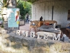 Museo EmblemaPomigliano Jazz Festival 2016 - XXI EdizioneTerzigno