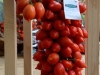 Itinerai del gusto Conetti Vulcanici del Carcavone di Pollena TrocchiaPomigliano Jazz 2015 - XX Edizione