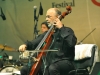 Morelembaum Pomigliano Jazz 2013 - foto 2