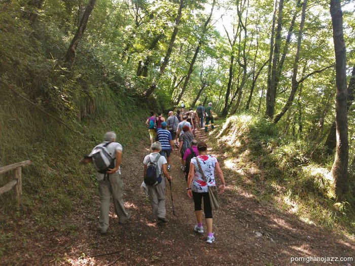 Escursione Foresta Roccarainola