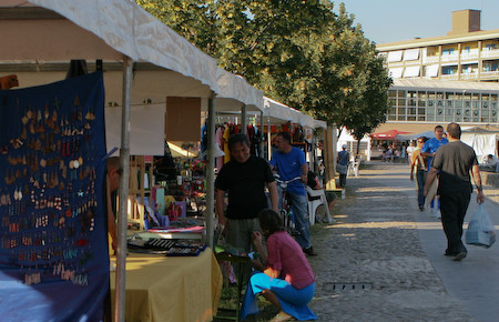 Regolamento Espositori Festival 2009